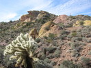 photo thumbnail #2