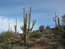 photo thumbnail #4