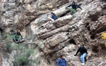 photo thumbnail #5