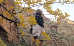 photo thumbnail #6