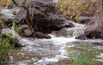 photo thumbnail #14