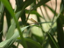 photo thumbnail #13