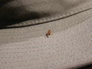 photo thumbnail #14
