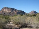photo thumbnail #1