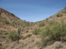 photo thumbnail #4
