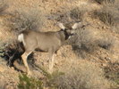 photo thumbnail #15