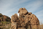 photo thumbnail #1