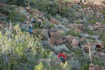 photo thumbnail #2