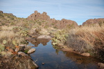 photo thumbnail #4