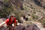 photo thumbnail #6