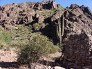 photo thumbnail #7