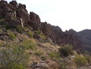 photo thumbnail #4