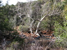 photo thumbnail #4