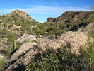 photo thumbnail #6