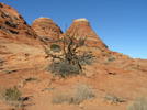photo thumbnail #4