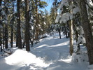 photo thumbnail #4