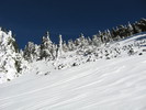 photo thumbnail #15