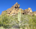 photo thumbnail #2