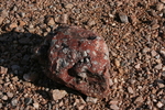photo thumbnail #1