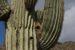 photo thumbnail #3