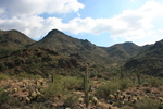photo thumbnail #5