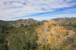 photo thumbnail #2