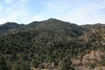 photo thumbnail #8