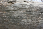 photo thumbnail #10