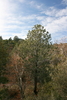 photo thumbnail #13