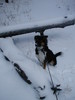 photo thumbnail #3