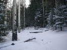 photo thumbnail #4