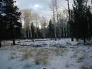 photo thumbnail #5