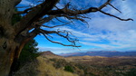 photo thumbnail #14