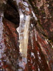 photo thumbnail #15