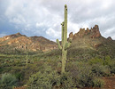 photo thumbnail #6