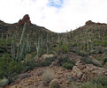 photo thumbnail #12