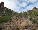 photo thumbnail #13