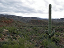 photo thumbnail #14