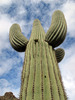 photo thumbnail #15