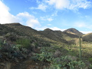 photo thumbnail #2