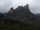 recent photo