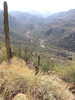 photo thumbnail #4