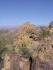 photo thumbnail #6