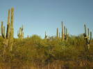 photo thumbnail #1