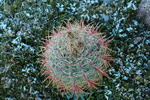 photo thumbnail #2