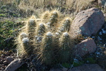 photo thumbnail #6