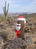 photo thumbnail #4
