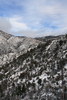 photo thumbnail #11