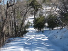 photo thumbnail #5