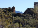photo thumbnail #14